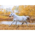 Kalendarz ścienny konie w plenerze rodzinny 280mm x 200mm Lucrum (WL10) Kalendarz ścienny konie w plenerze rodzinny 280mm x 200mm Lucrum (WL10)