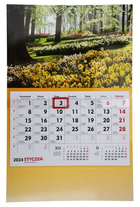 Kalendarz ścienny terminarz ścienny 310mm x 482mm Michalczyk i Prokop (T-107S-2)