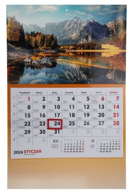 Kalendarz ścienny terminarz ścienny 310mm x 482mm Michalczyk i Prokop (T-107S-3)