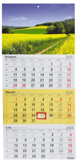 Kalendarz ścienny trójdzielny 288mm x 622mm Michalczyk i Prokop (T-106T-01)