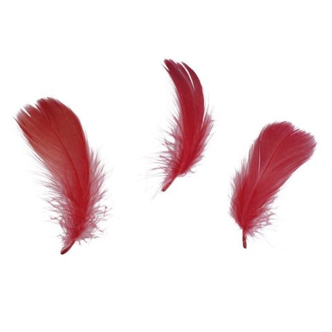 Piórka Craft-Fun Series czerwone Titanum