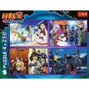 Puzzle 250 el. Trefl (13339) Puzzle 250 el. Trefl (13339)