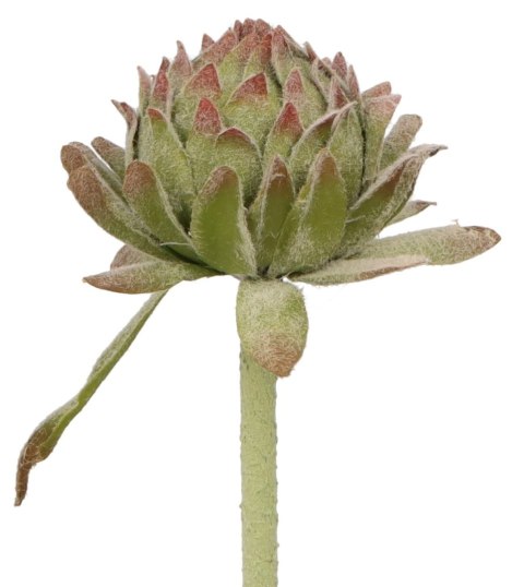 Kwiaty karczoch 60cm Home And Garden (8219)