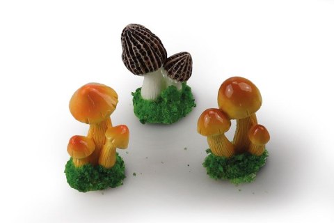 Zestaw dekoracyjny Craft-Fun Series Mini grzyby Titanum (25BJ033131) Zestaw dekoracyjny Craft-Fun Series Mini grzyby Titanum (25BJ033131)